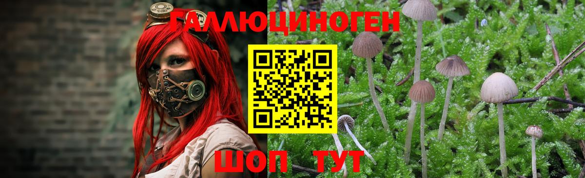 Югорск  Псилоцибиновые грибы мицелий  Вход с VPN 